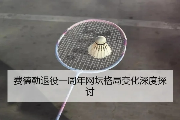 费德勒退役一周年网坛格局变化深度探讨